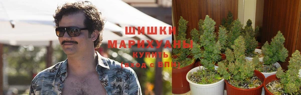 спиды Белоозёрский