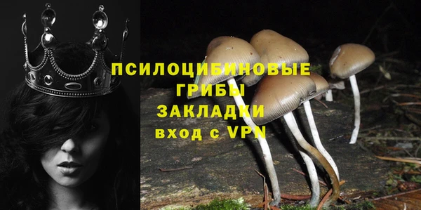 ALPHA PVP Беломорск