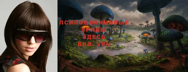 ALPHA PVP Беломорск