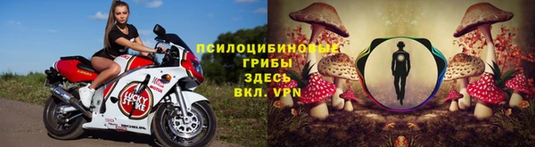 круглые Белокуриха