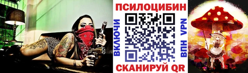 Купить где  Курлово  Псилоцибиновые грибы мухоморы 